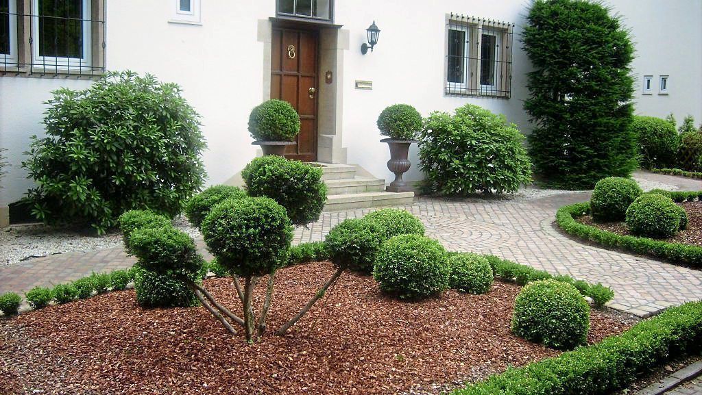 Luan Arifaj Grüner Bereich