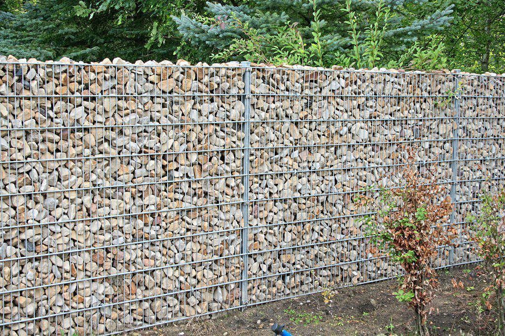 Luan Arifaj Grüner Bereich