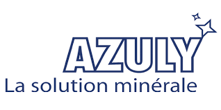 Logo d'Azuly.