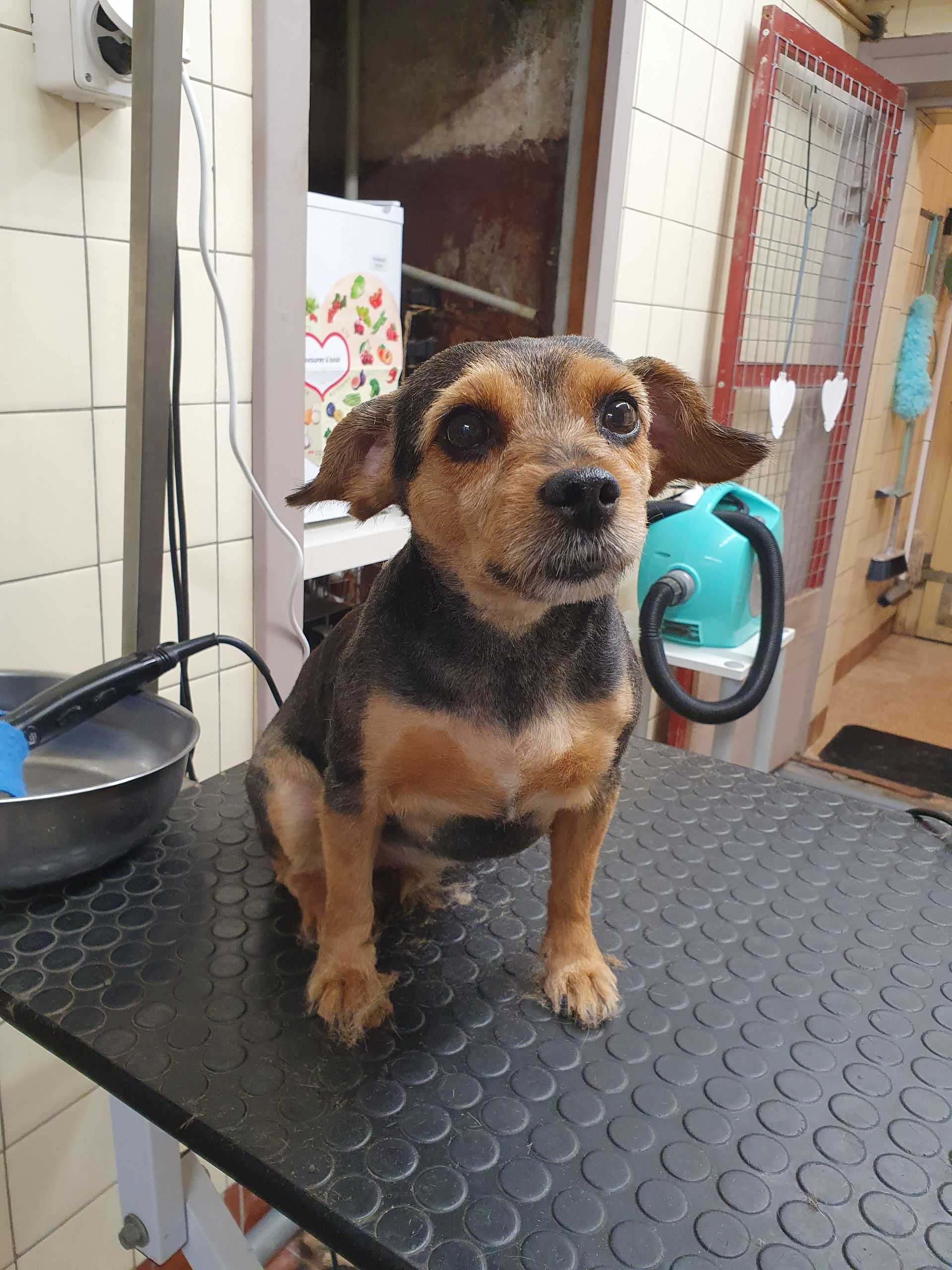 Une image d'une montagne dans un carré sur fond blanc.