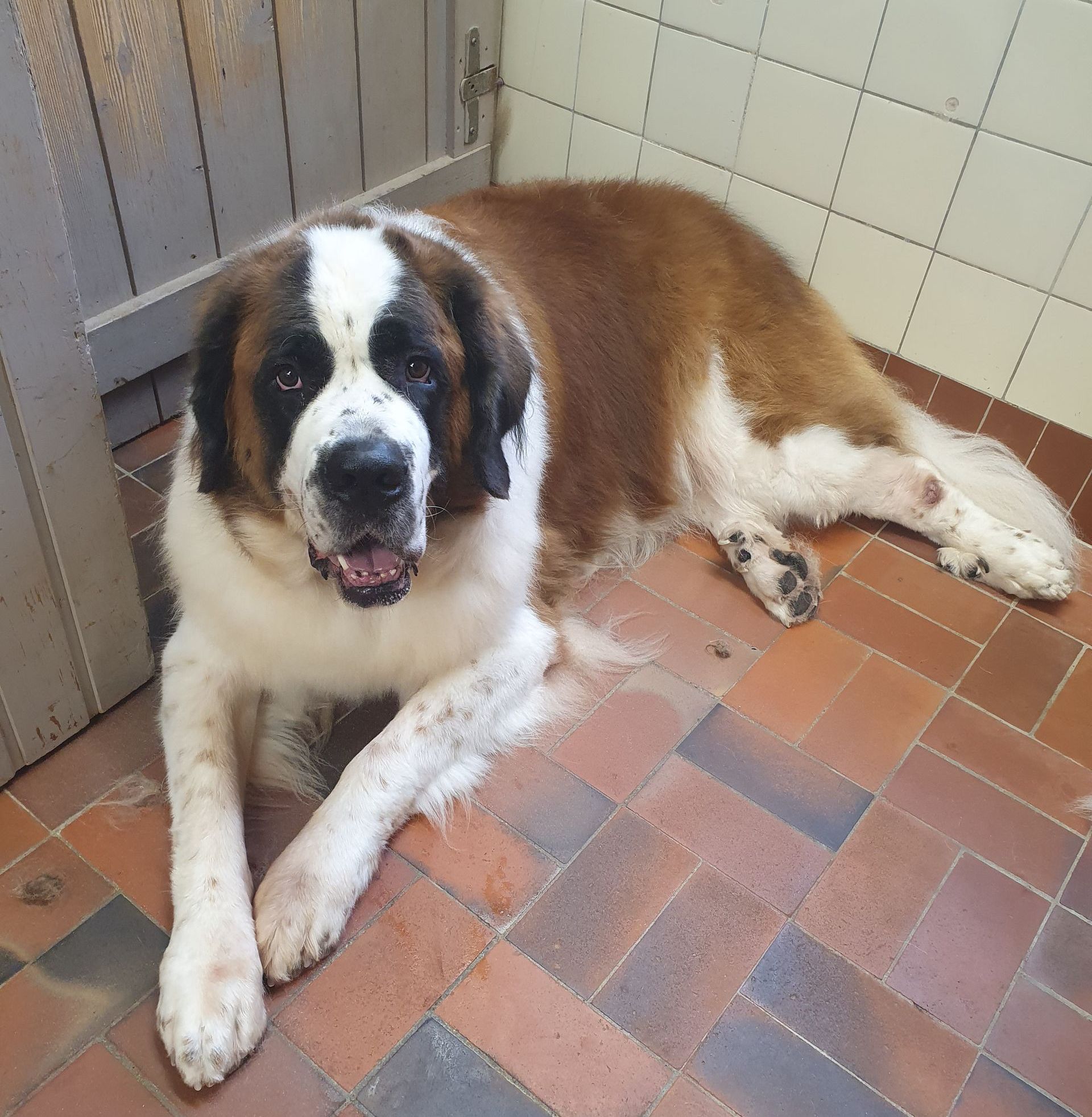 Une image d'une montagne dans un carré sur fond blanc.