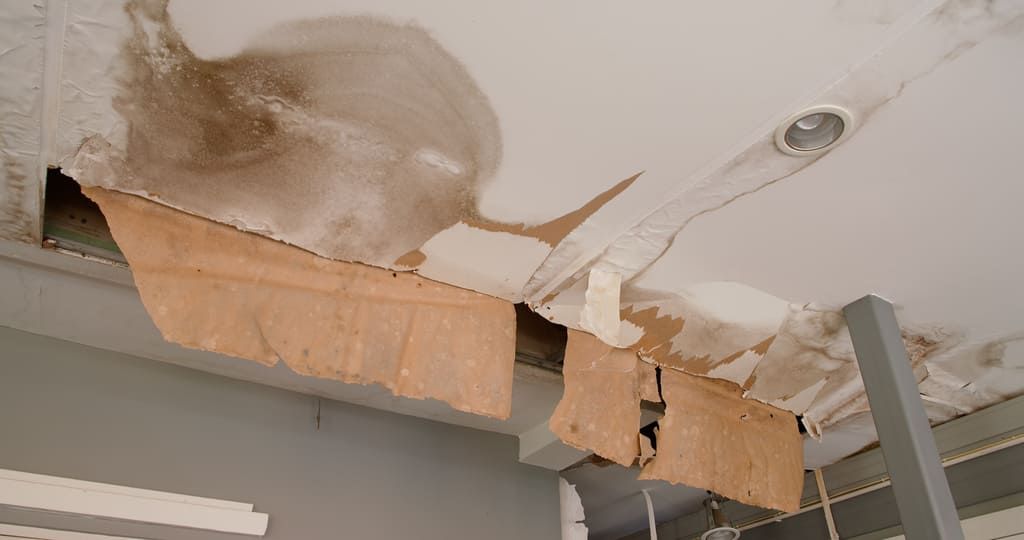 Plafond endommagé avec peinture écaillée et taches d'eau, probablement dues à une fuite.