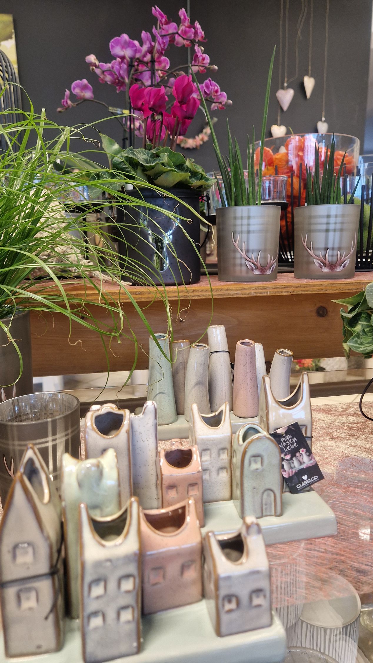 Ausstellung von Blumen, Töpfen und Keramikhäusern auf einem Regal, mit einer Orchidee im Hintergrund.