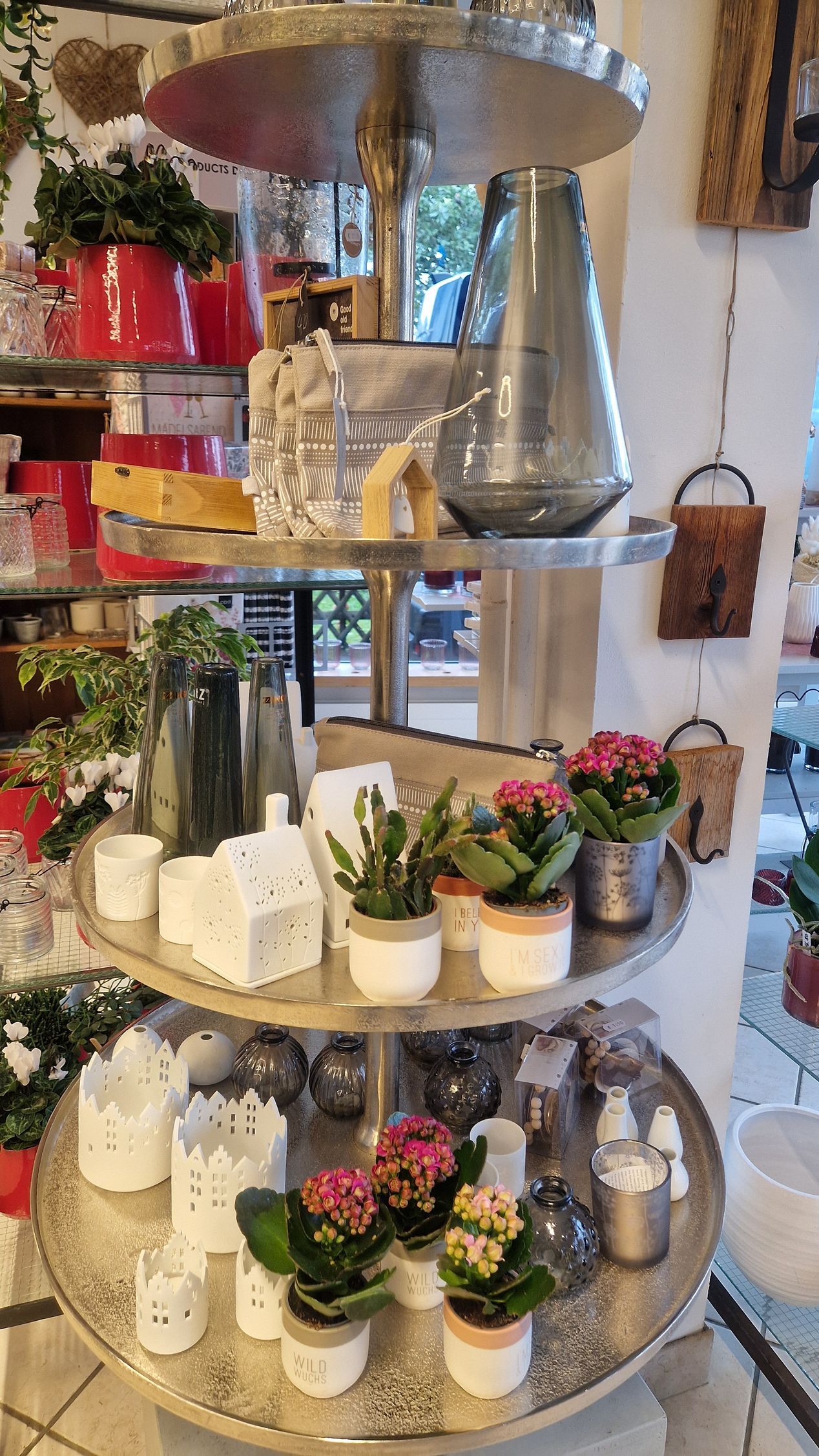 Dreistöckiges silbernes Ausstellungsregal mit Pflanzen und Dekorationsobjekten in einer Ladenumgebung.