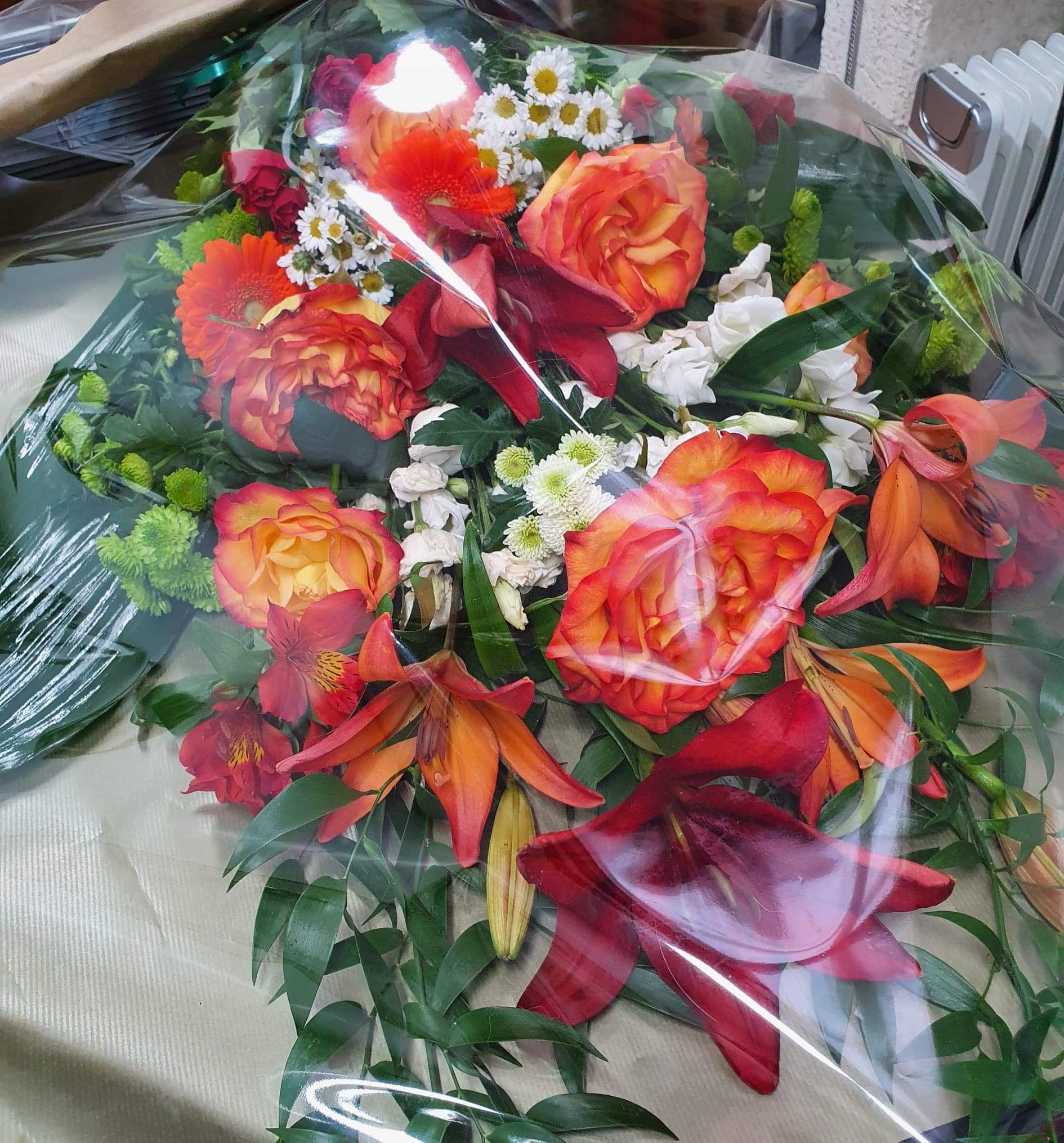 Bouquet de roses rouge orangé et de fleurs blanches, emballé dans du plastique transparent avec un ruban bordeaux