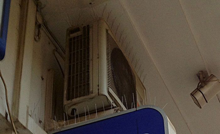 Απολυμάνσεις - Απεντομώσεις - Μυοκτονίες Eco Πόλης Ποντικόπουλος Κωνσταντίνος