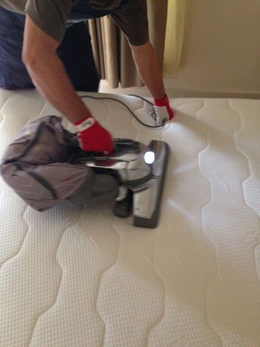 Απολυμάνσεις - Απεντομώσεις - Μυοκτονίες Eco Πόλης Ποντικόπουλος Κωνσταντίνος