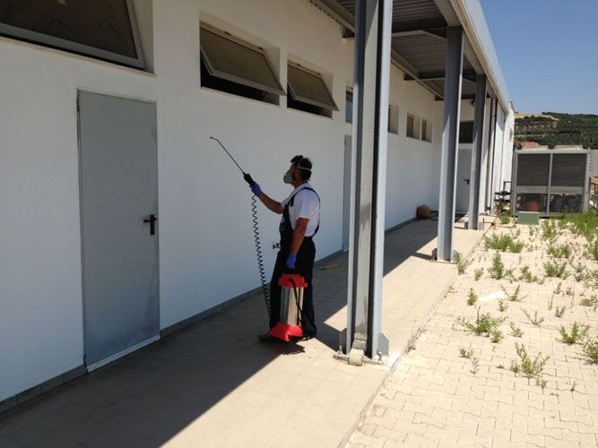 Απολυμάνσεις - Απεντομώσεις - Μυοκτονίες Eco Πόλης Ποντικόπουλος Κωνσταντίνος