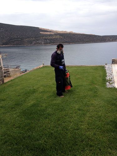 Απολυμάνσεις - Απεντομώσεις - Μυοκτονίες Eco Πόλης Ποντικόπουλος Κωνσταντίνος