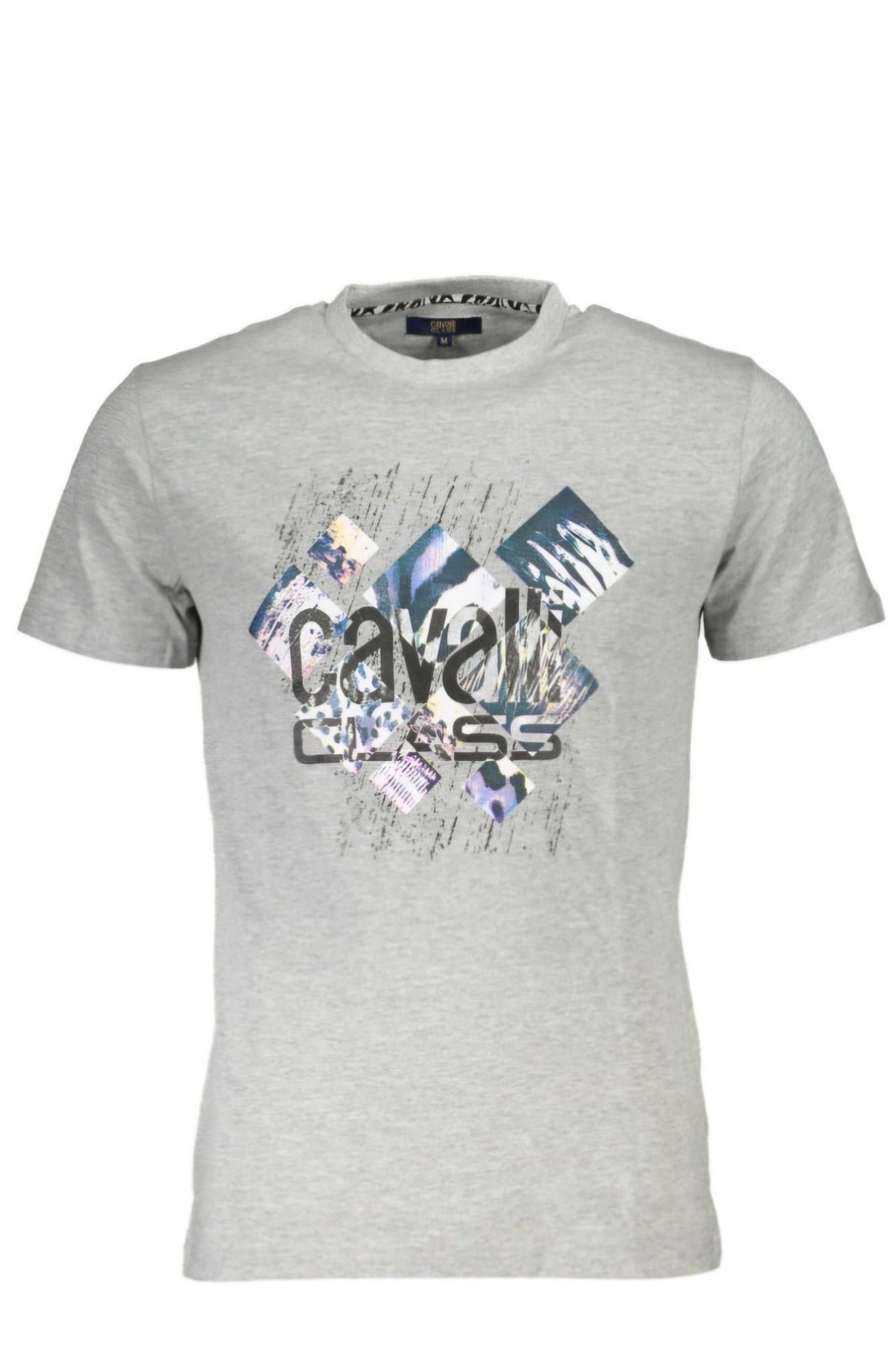 Una camiseta gris con la palabra cavalli.