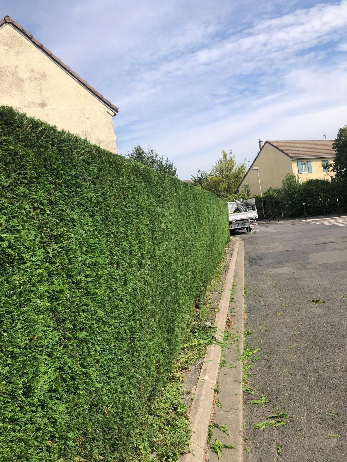 Taille de haies chez un particulier dans un lotissement