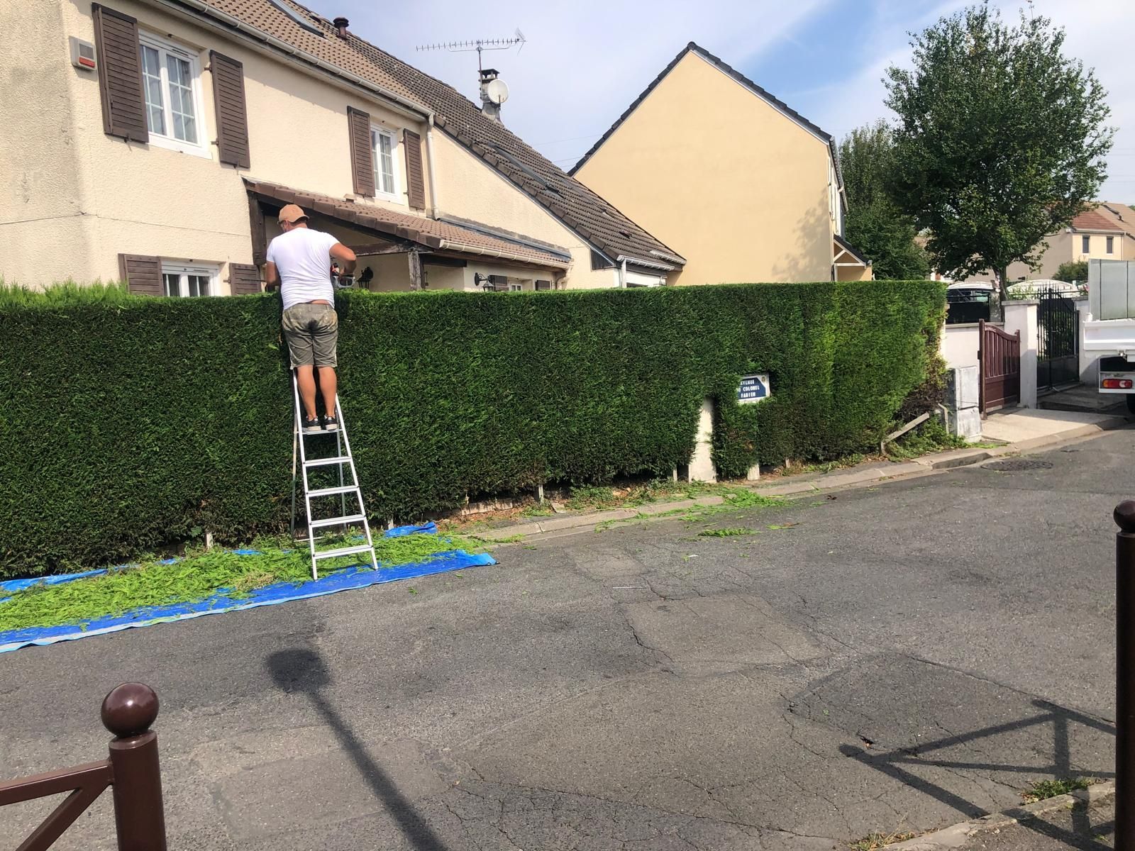 Taille de haies avec bâche au sol
