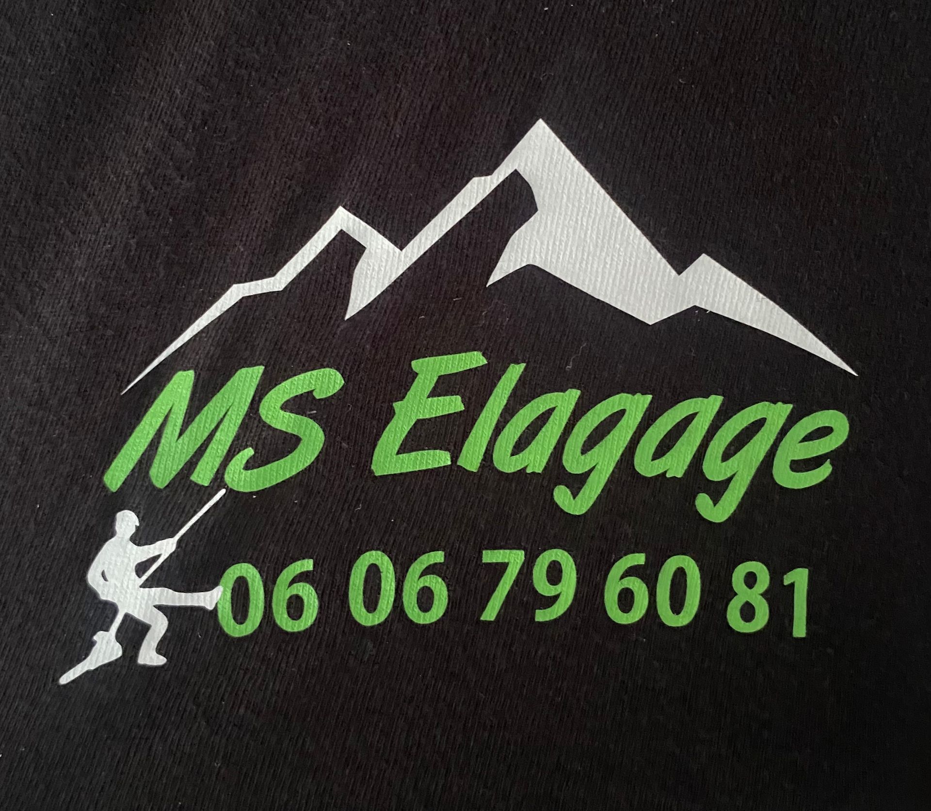 Logo de l'entreprise MS Élagage