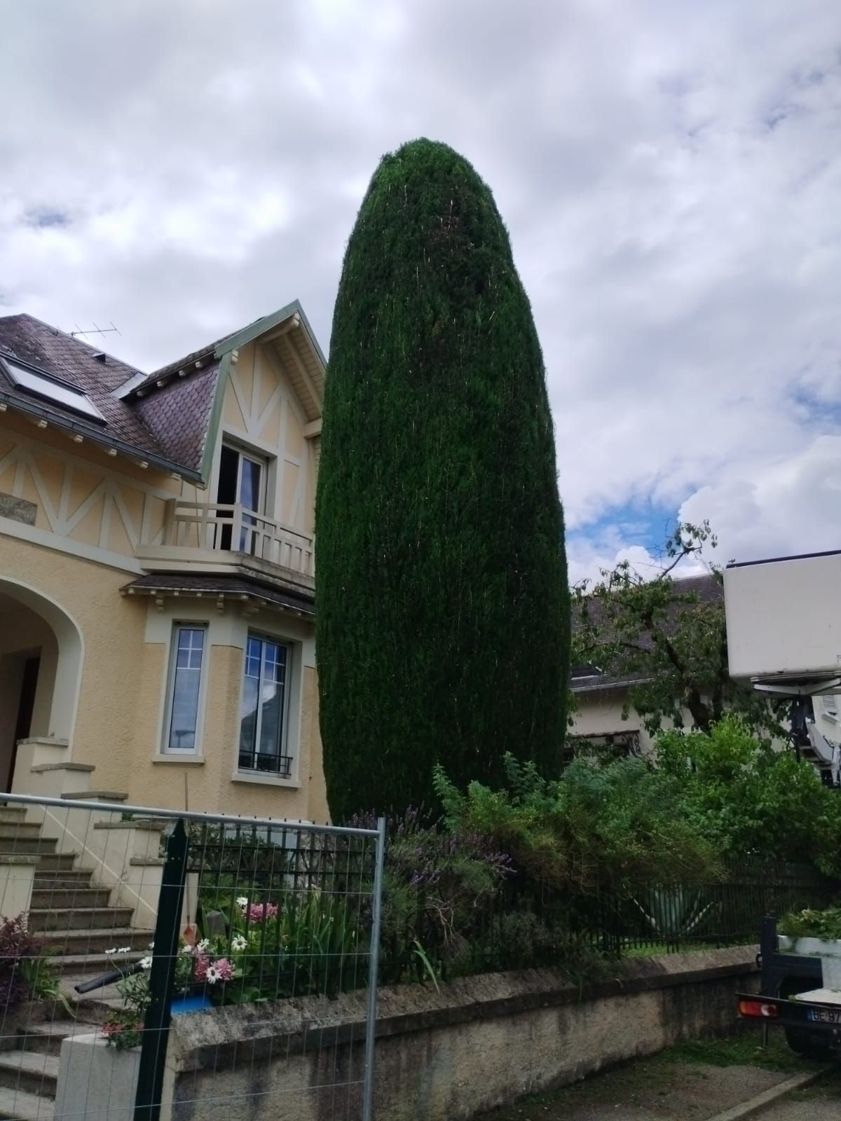 Massif taillé et propre