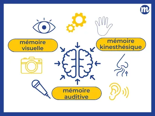 Cours de méthodologie
