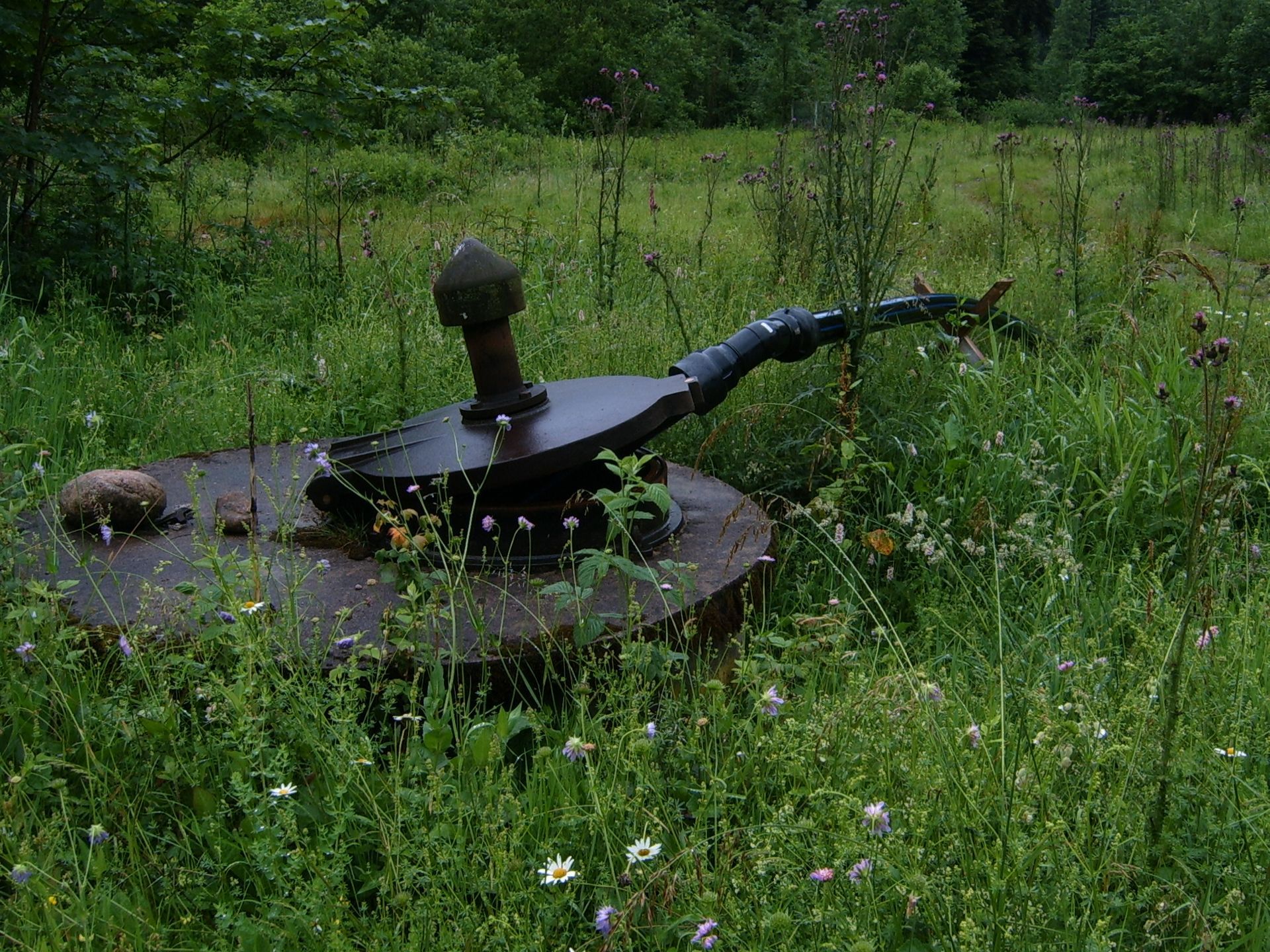 Objet métallique rouillé avec un bras courbé dans les hautes herbes.
