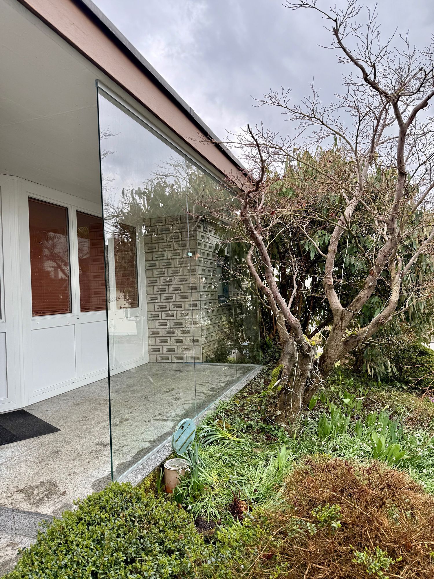 Ein Haus mit einer großen Glaswand und einem Baum davor.