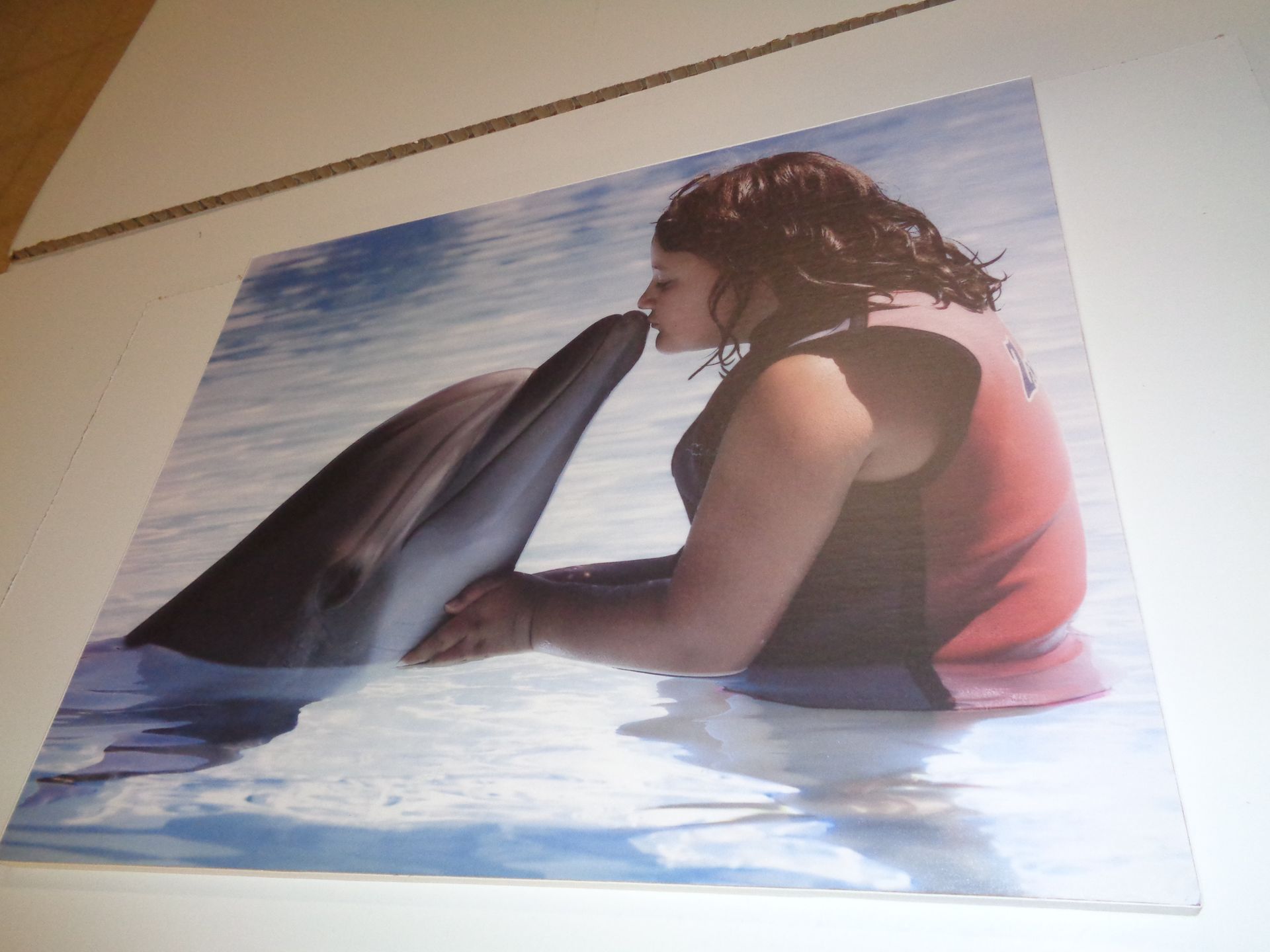 Una mujer está besando a un delfín en la nariz.