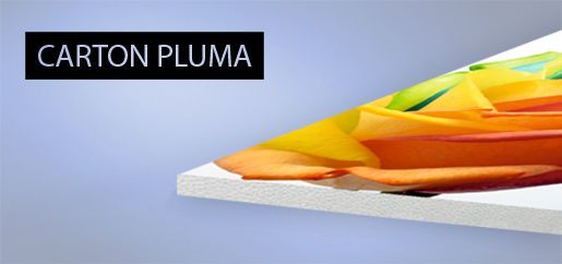 Una imagen de un arcoíris con las palabras carton pluma encima.