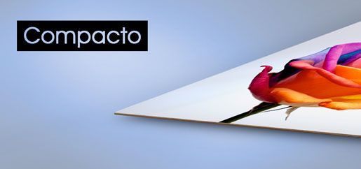 Una imagen de una flor con la palabra compacto en ella.