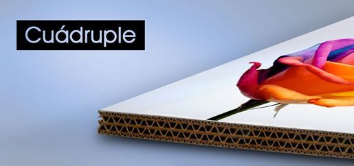 Una caja de cartón con la imagen de una flor.