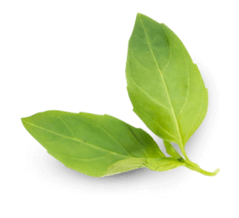 Oecotop Bremen - Bio-Markt mit Herz!