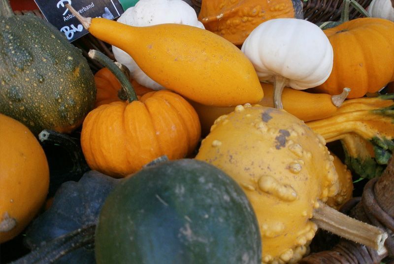 Oecotop Bremen - Bio-Markt mit Herz!