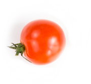 Oecotop Bremen - Bio-Markt mit Herz!