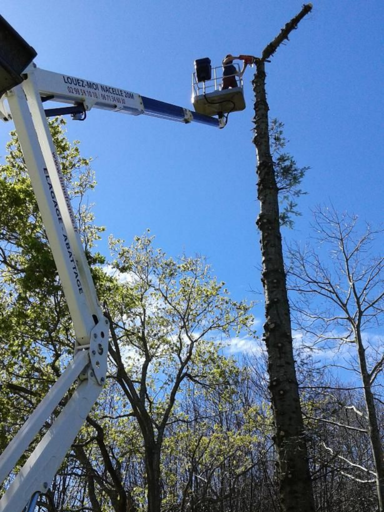 Un camion-nacelle utilitaire élague la cime d'un grand arbre sur fond de ciel bleu clair.