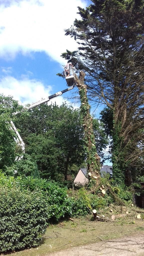 Une grande statue de girafe se dresse dans un jardin arboré, au bord d'un chemin, sous un ciel d'un bleu éclatant.