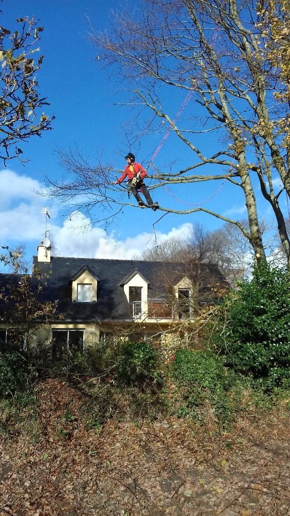 Une personne fait de la tyrolienne au-dessus d'une maison et d'arbres par une journée ensoleillée au ciel bleu.