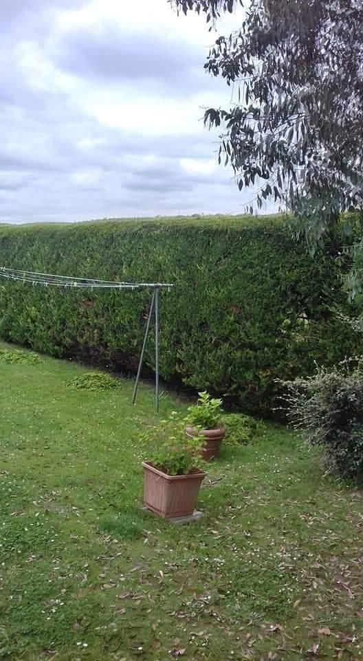 Cour arrière herbeuse avec une haute haie, une corde à linge et une plante en pot sous un ciel nuageux.