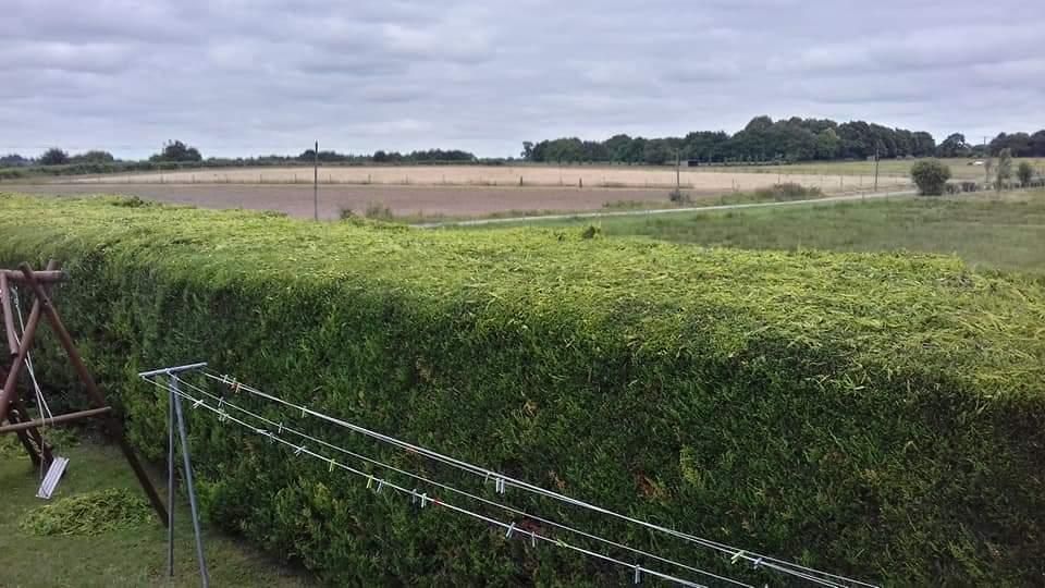 Champ herbeux et haie sous un ciel nuageux, avec une clôture en fil de fer au premier plan.