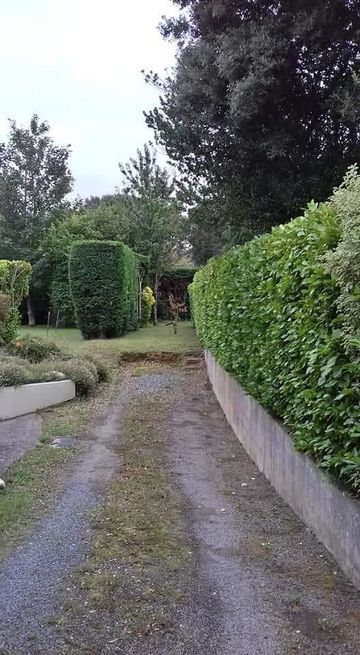 Un étroit chemin de gravier serpente entre de hautes haies vertes et des arbres, dans un jardin paisible.