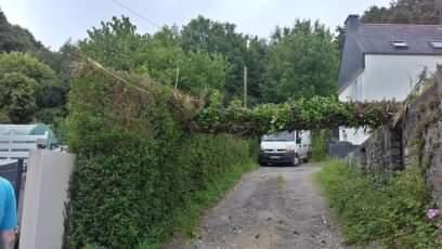 Allée étroite en gravier bordée de haies envahissantes, avec une camionnette blanche garée au bout et des maisons à proximité.