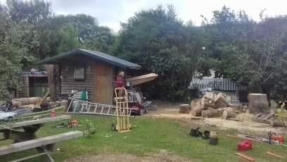 Cour arrière avec un petit abri en bois, des outils éparpillés et des arbres en arrière-plan