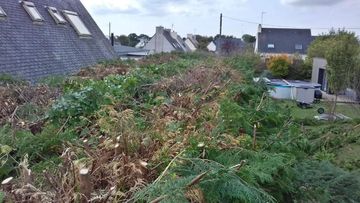 Terrain vague envahi par la végétation, avec un grand tas de branches coupées et de mauvaises herbes, près des maisons et d'une route.