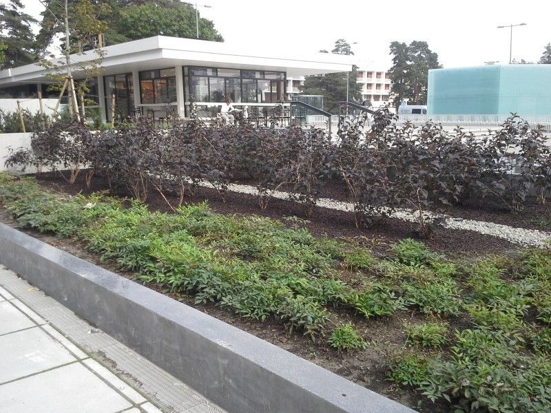 Uudenmaan pihapojat Oy