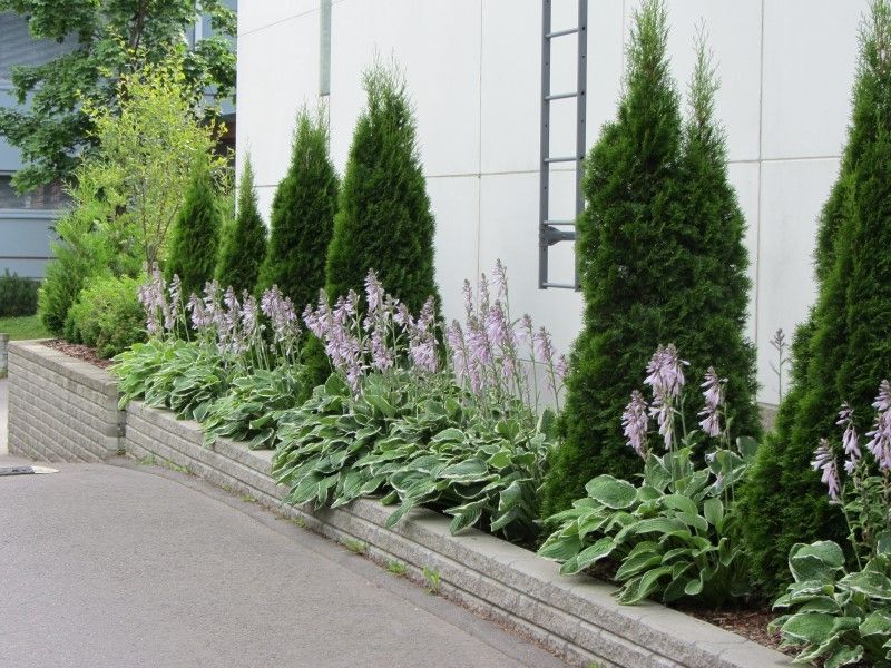 Uudenmaan pihapojat Oy