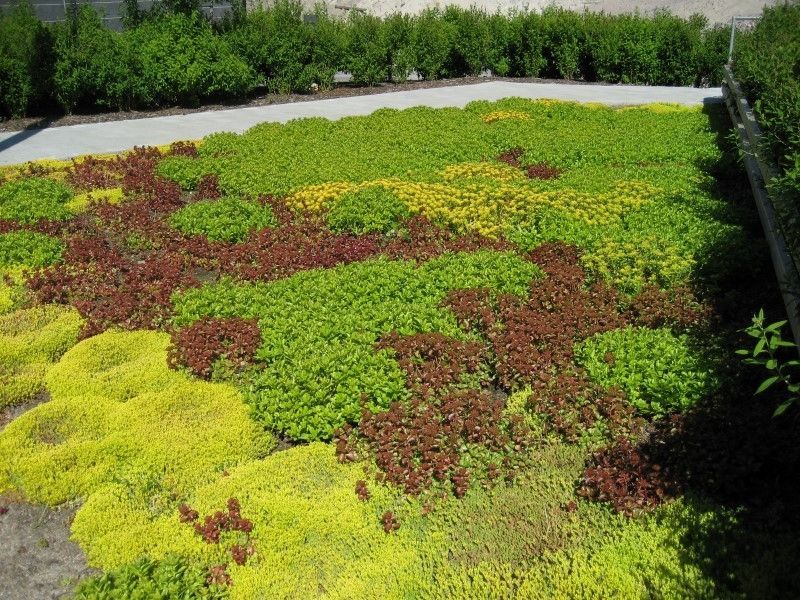 Uudenmaan pihapojat Oy