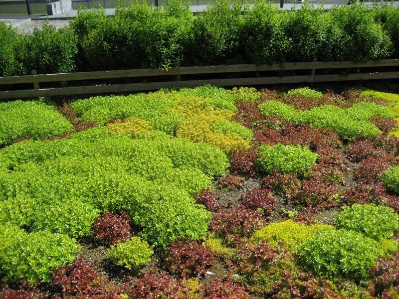 Uudenmaan pihapojat Oy