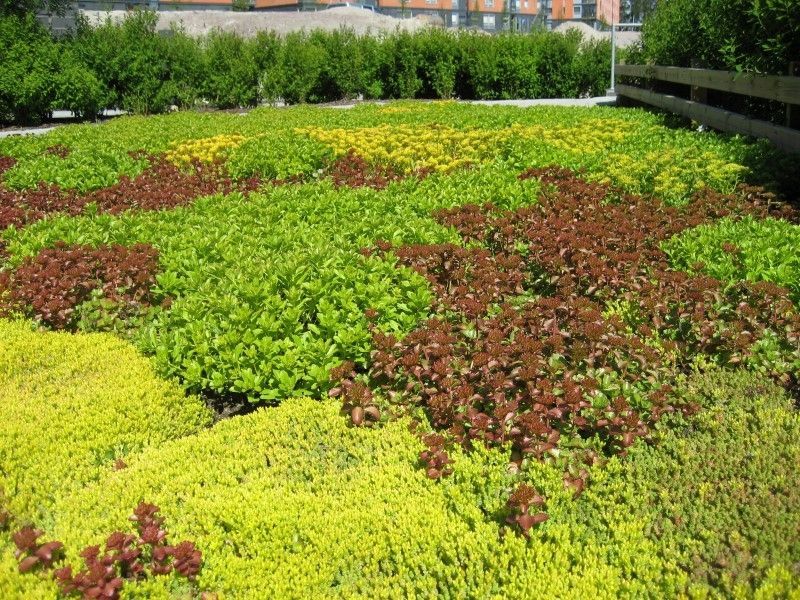 Uudenmaan pihapojat Oy