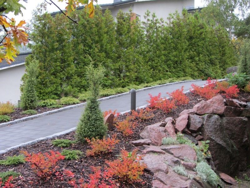 Uudenmaan pihapojat Oy