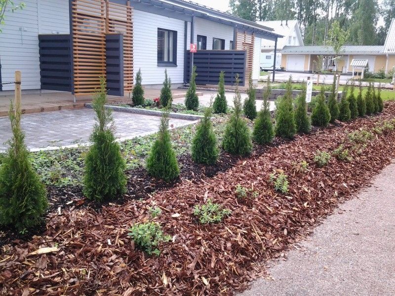 Uudenmaan pihapojat Oy