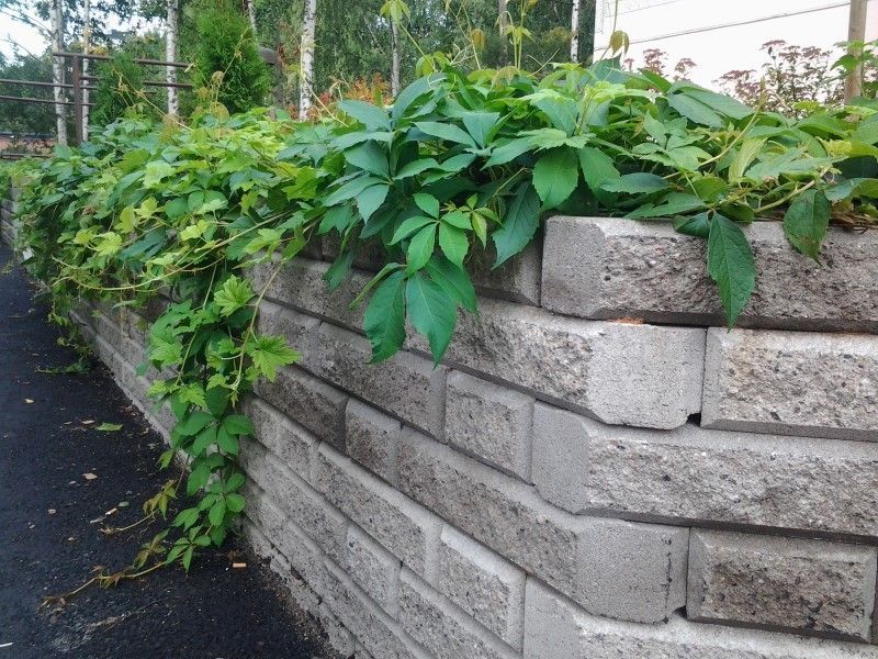 Uudenmaan pihapojat Oy