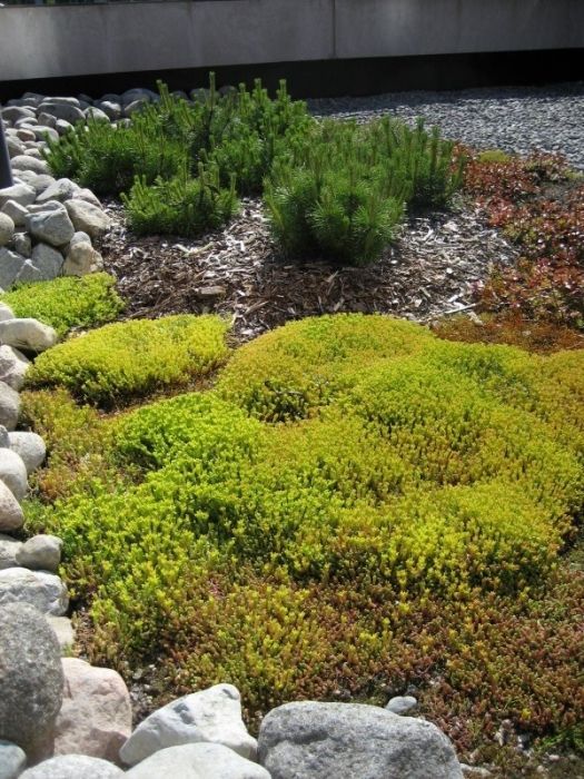 Uudenmaan pihapojat Oy