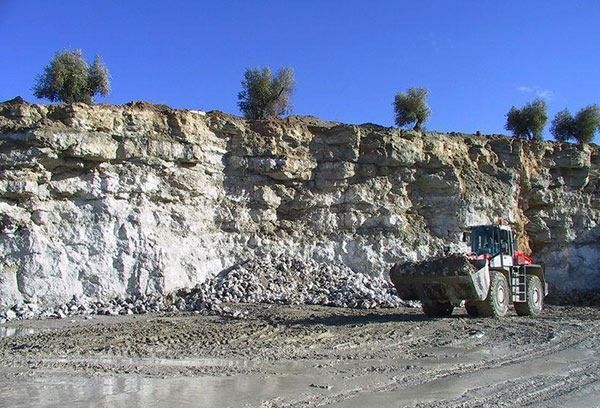 Un camión grande está estacionado frente a una gran pared de roca.