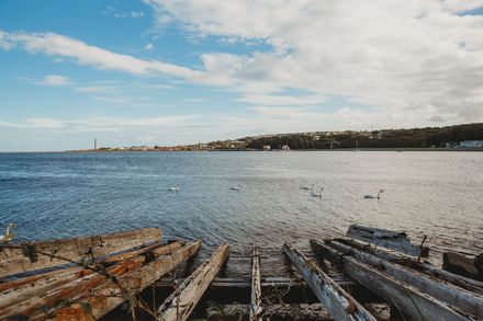 part of Berwick's quayside with swans gliding past on the River Tweed