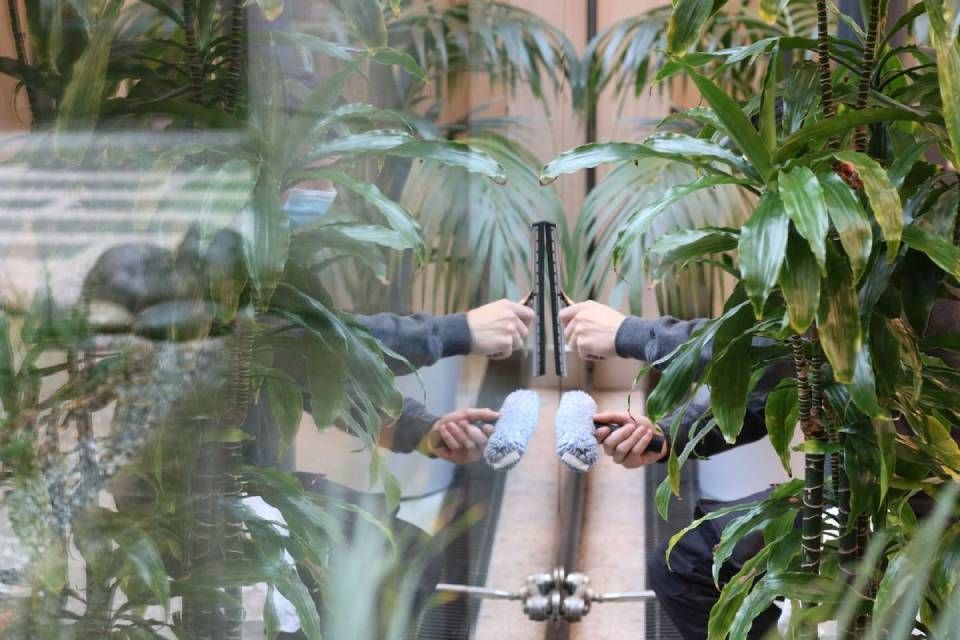Des personnes se tenant la main à travers une porte vitrée, se reflétant parmi les plantes vertes à l'intérieur.