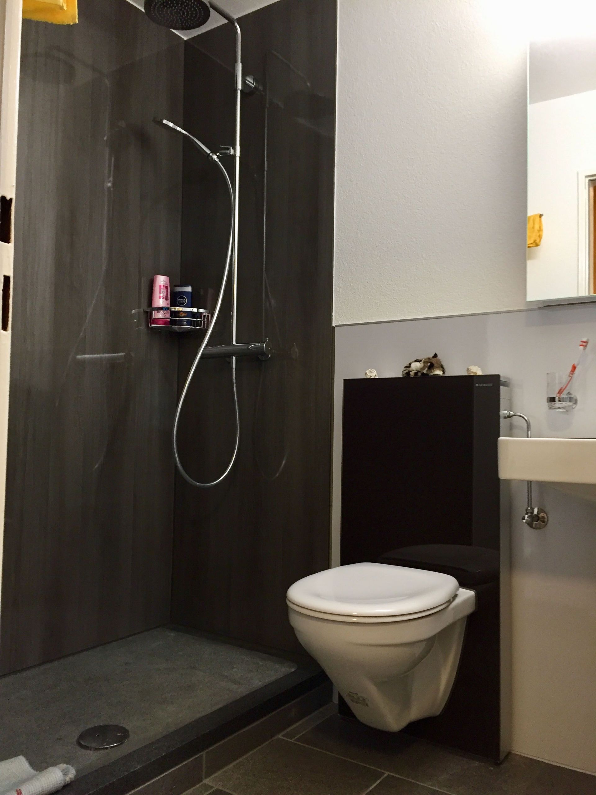 Sanitär Badrenovation - René Brügger GEBATEC AG Aeschi SO